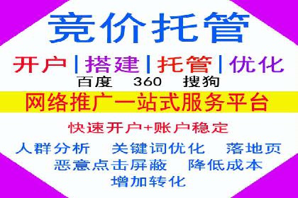 百度SEO推广策略调整：一个成功的调整案例
